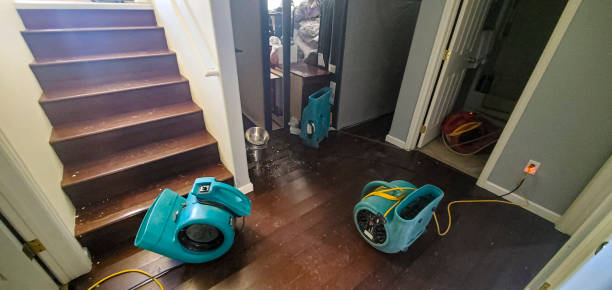 Best Water damage cleanup near me  in Saint John Fisher College, NY