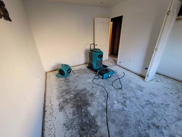 Best Carpet water damage restoration  in Saint John Fisher College, NY