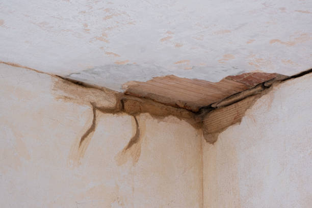 Best Basement water damage restoration  in Saint John Fisher College, NY