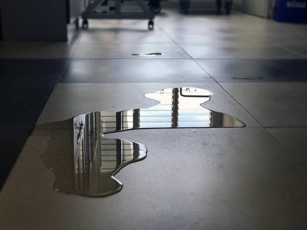 Best Sewage cleanup and water damage restoration  in Saint John Fisher College, NY