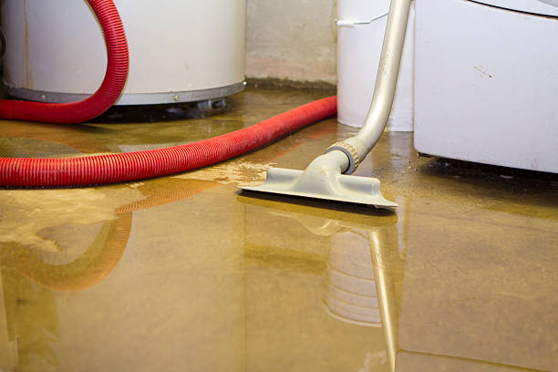 Best 24-hour water damage restoration  in Saint John Fisher College, NY