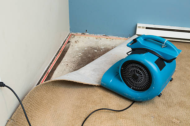 Best Professional water damage repair  in Saint John Fisher College, NY